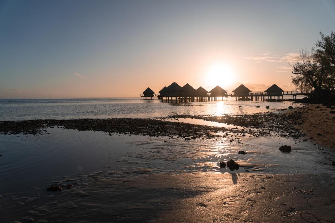 Douceur Tropicale Proximite Plage Et Commerces Punaauia  Exterior photo